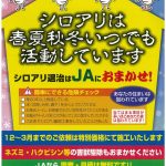 白蟻工事特別価格のお知らせ