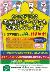 白蟻工事特別価格のお知らせ